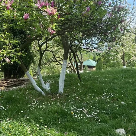 Ferienhaus Zeleni Kutak
