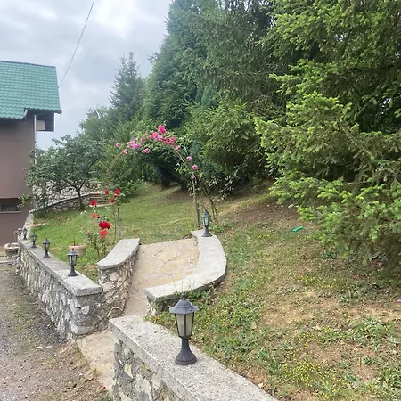 Ferienhaus Zeleni Kutak